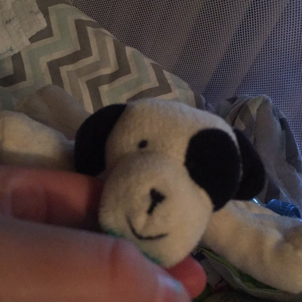 Meet your Posher, Patricia